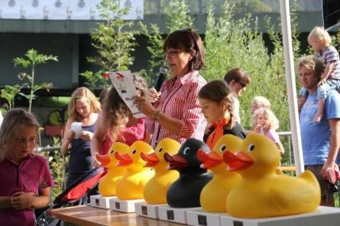 Entenrennen Kitzbühel 2011 – Foto 19