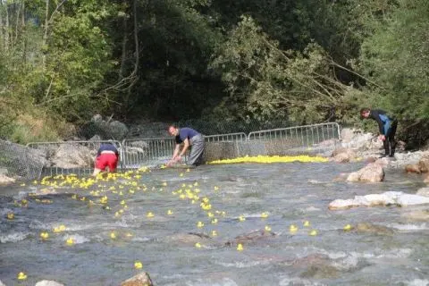 Entenrennen Kitzbühel 2011 – Foto 21