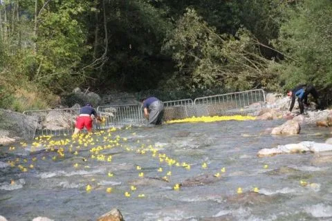 Entenrennen Kitzbühel 2011 – Foto 22