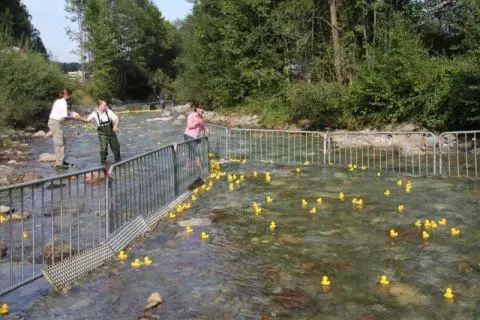 Entenrennen Kitzbühel 2011 – Foto 24