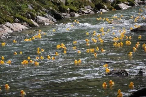 Entenrennen Kitzbühel 2011 – Foto 25