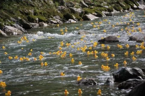 Entenrennen Kitzbühel 2011 – Foto 26