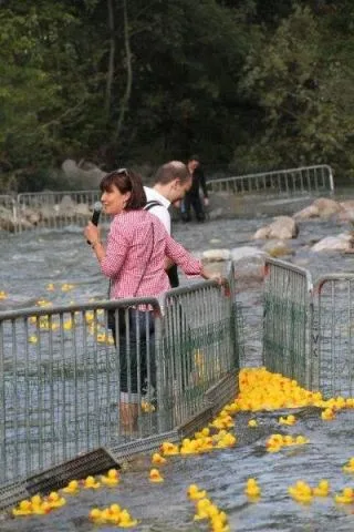 Entenrennen Kitzbühel 2011 – Foto 28