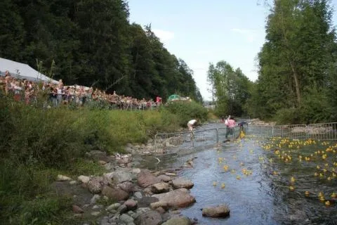 Entenrennen Kitzbühel 2011 – Foto 30
