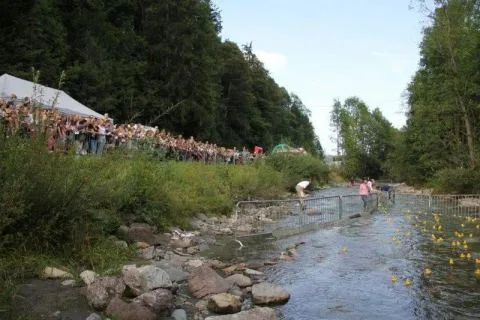 Entenrennen Kitzbühel 2011 – Foto 32