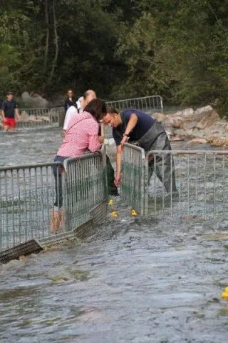 Entenrennen Kitzbühel 2011 – Foto 33