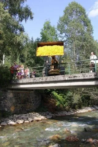 Entenrennen Kitzbühel 2011 – Foto 48