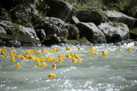Entenrennen Kitzbühel 2012 – Foto 17