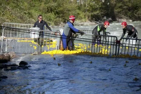 Entenrennen Kitzbühel 2012 – Foto 49