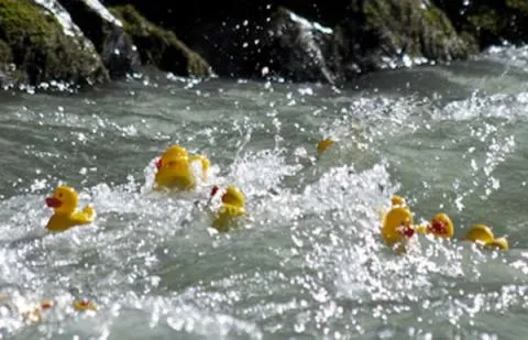 Entenrennen Kitzbühel 2012 – Foto 53