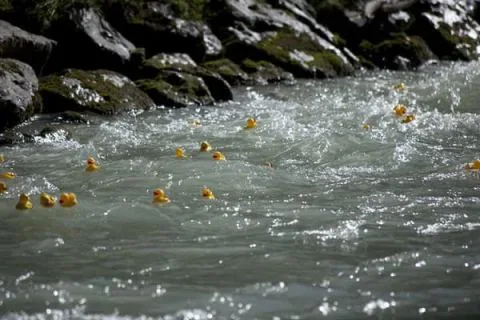 Entenrennen Kitzbühel 2012 – Foto 57