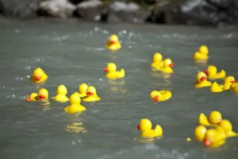 Entenrennen Kitzbühel 2012 – Foto 59