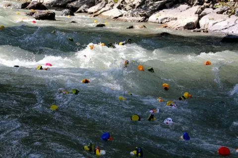 Entenrennen Kitzbühel 2014 – Foto 46