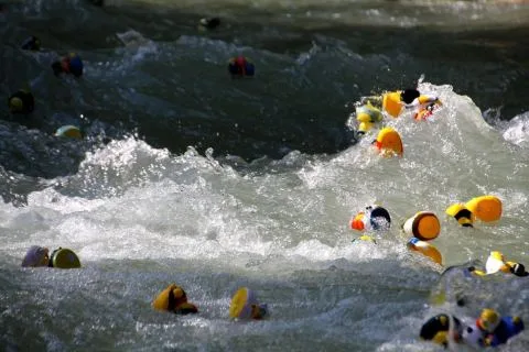 Entenrennen Kitzbühel 2014 – Foto 47