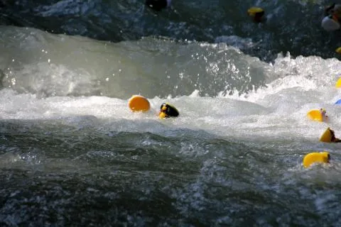 Entenrennen Kitzbühel 2014 – Foto 48