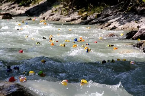 Entenrennen Kitzbühel 2014 – Foto 49