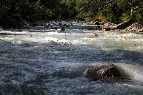 Entenrennen Kitzbühel 2014 – Foto 51