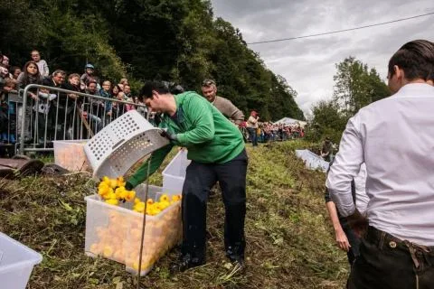 Entenrennen Kitzbühel 2016 – Foto 39