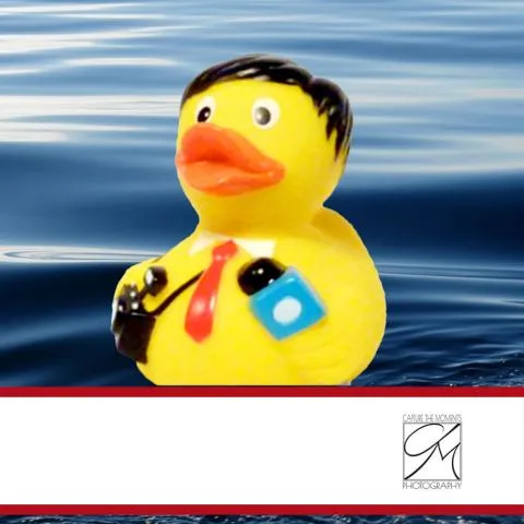 Sponsorenente 15 des Entenrennens 2016 mit Sponsorenlogo
