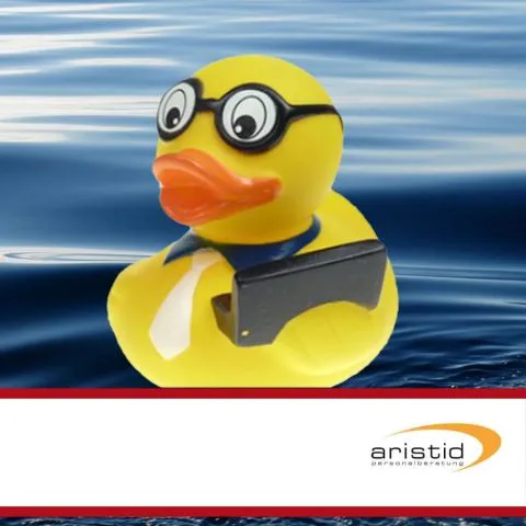 Sponsorenente 20 des Entenrennens 2016 mit Sponsorenlogo