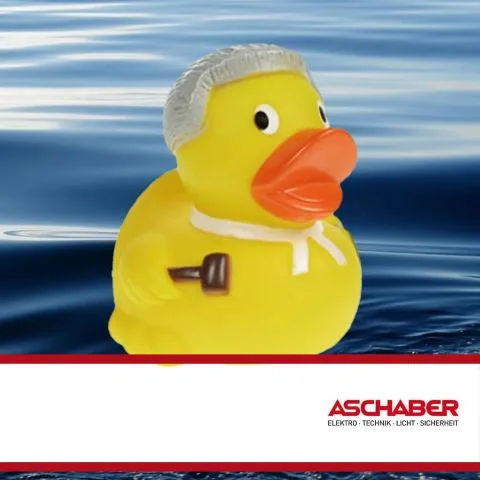 Sponsorenente 28 des Entenrennens 2016 mit Sponsorenlogo