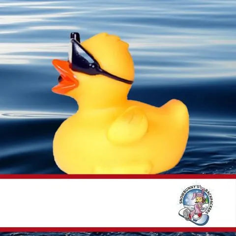 Sponsorenente 37 des Entenrennens 2016 mit Sponsorenlogo
