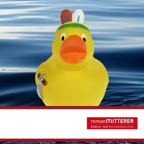 Sponsorenente 43 des Entenrennens 2016 mit Sponsorenlogo