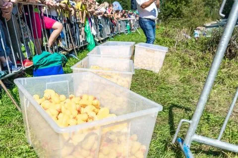 Entenrennen Kitzbühel 2018 – Foto 37