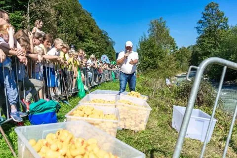 Entenrennen Kitzbühel 2018 – Foto 38