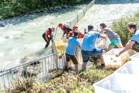Entenrennen Kitzbühel 2018 – Foto 44