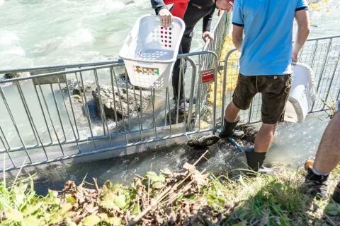 Entenrennen Kitzbühel 2018 – Foto 49