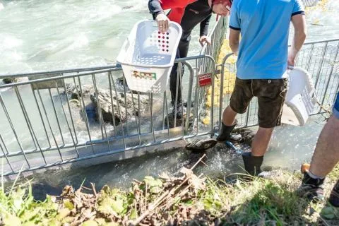 Entenrennen Kitzbühel 2018 – Foto 50