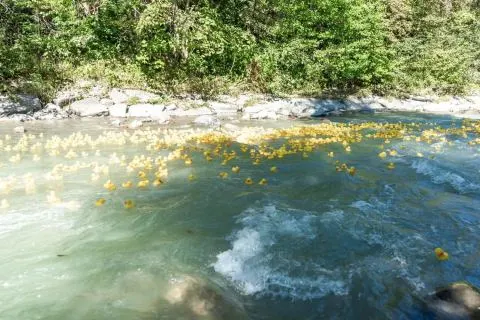Entenrennen Kitzbühel 2018 – Foto 56